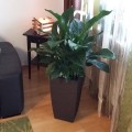 Donica CASA COSY 30x58cm fot.2