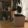 Donica CASA COSY 30 cm