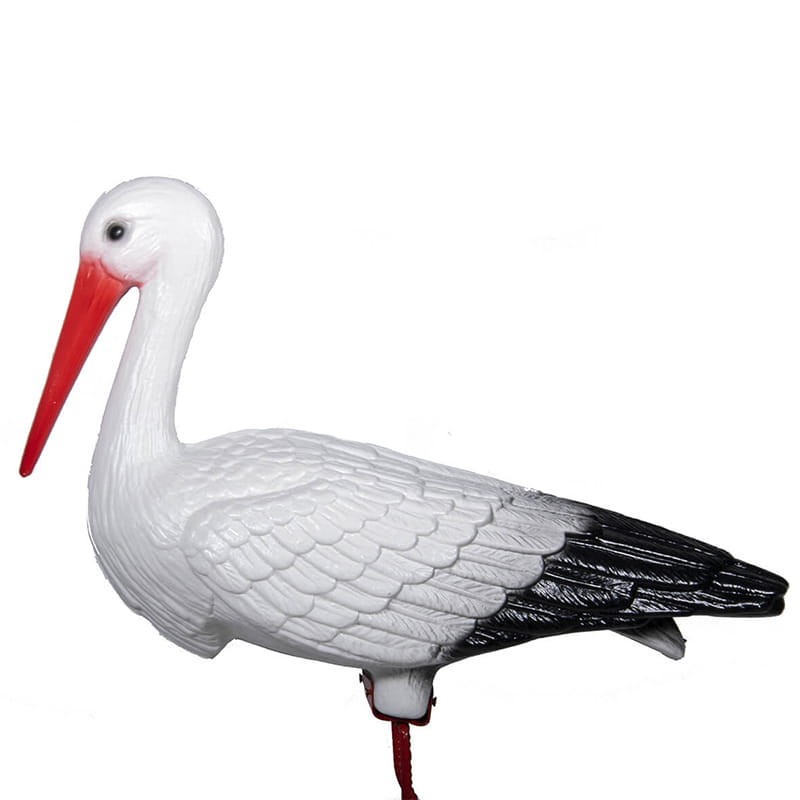 Bocian średni 69 cm