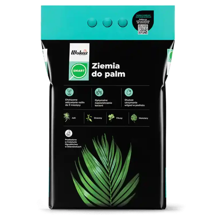 Ziemia do Palm Juki Mostery