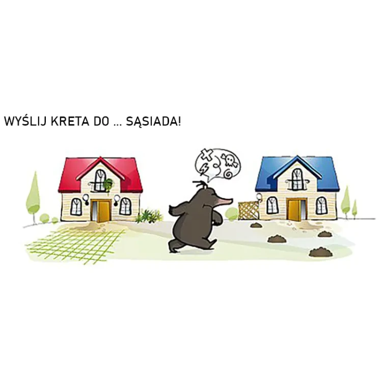 dasdas.webp fot.5