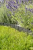 Palisada liner fot.4
