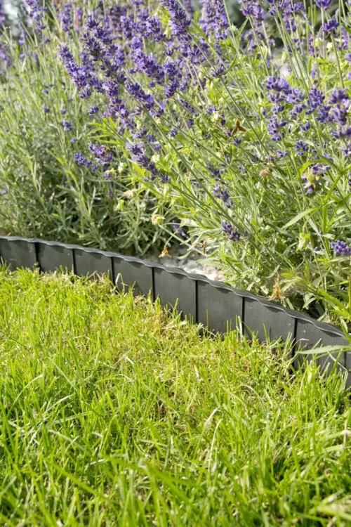 Palisada liner fot.4