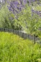 Palisada liner fot.4