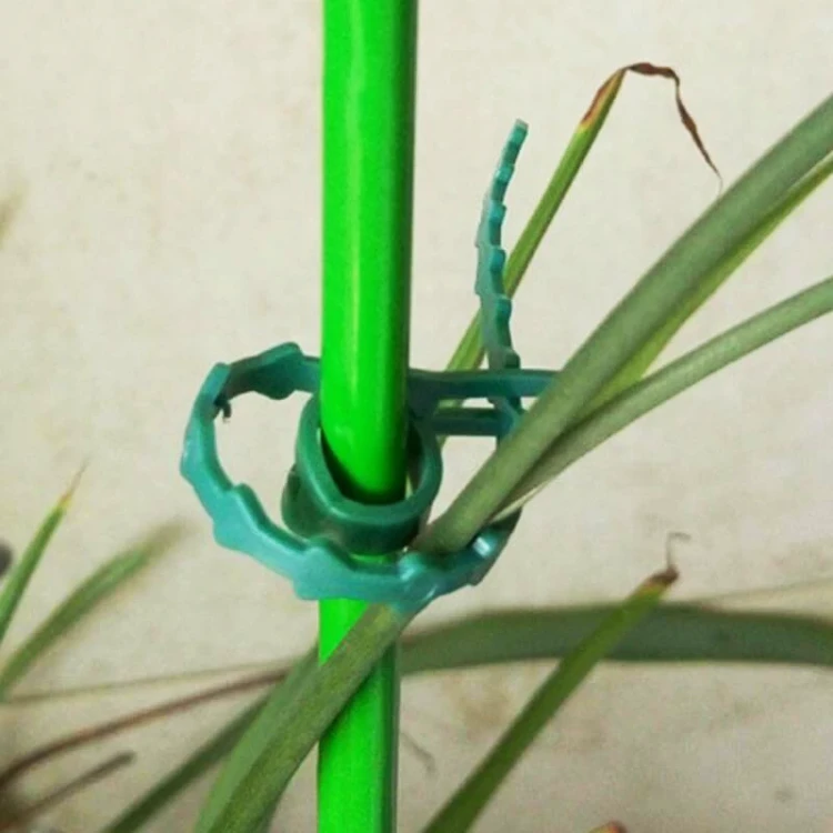 Spinki ogrodowe fot.2