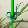 Spinki ogrodowe fot.2