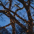 Zestaw Lampek Choinkowych LED 100 metrów