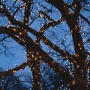 Zestaw Lampek Choinkowych LED 100 metrów