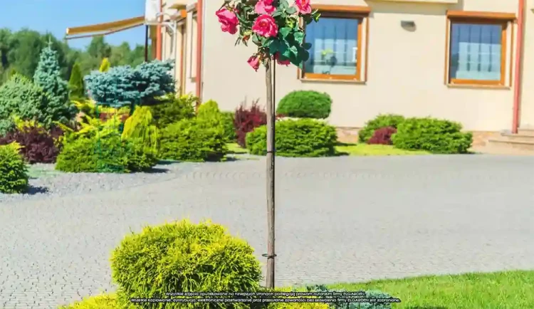 Podpora na róże pienne 150 cm