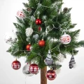 zestaw czer.webp