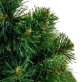 Zielone WEB 3.webp fot.16