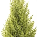 Choinka sztuczna w doniczce 40cm