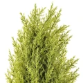 Choinka sztuczna w doniczce 55 cm