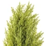 Choinka sztuczna w doniczce 55 cm