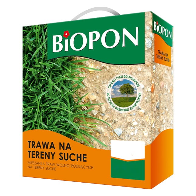 Trawa na teresy suche - nasiona