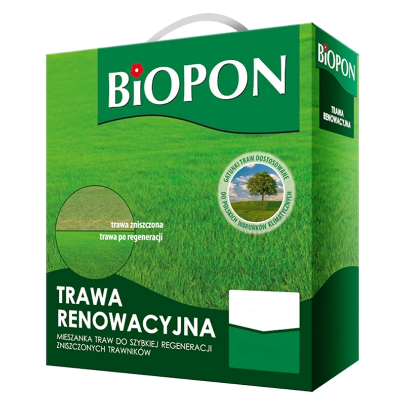 Trawa renowacyjna