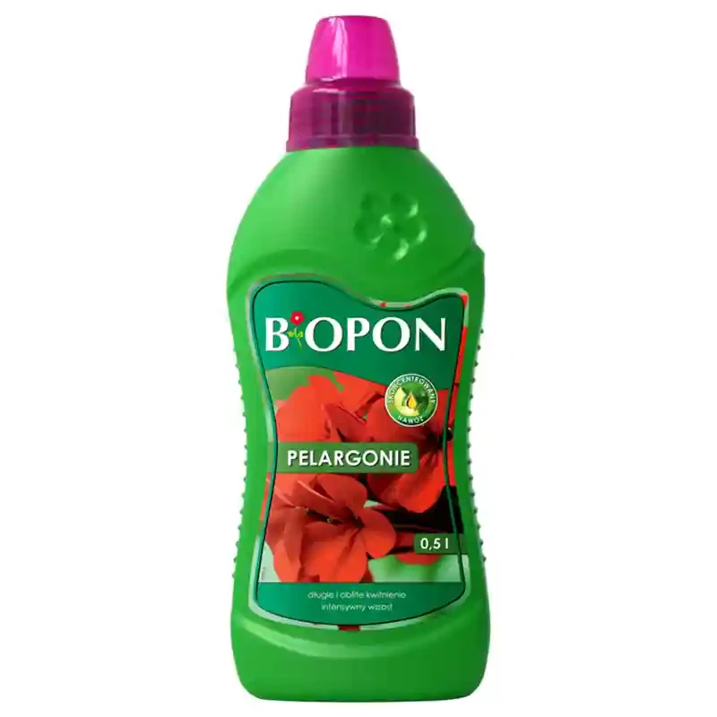 Bez nazwy-2.webp