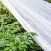 Agrowłóknina biała wiosenna 23G do ochrony przed mrozem fot. 7