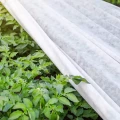 Agrowłóknina biała wiosenna 23G do ochrony przed mrozem fot. 7