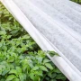 Agrowłóknina biała wiosenna 23G do ochrony przed mrozem fot. 7