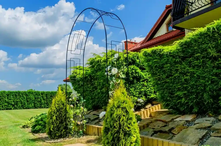 Pergola MODERNA3 kopia.webp