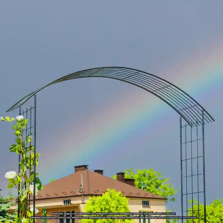 Pergola ogrodowa Excellent 275 cm
