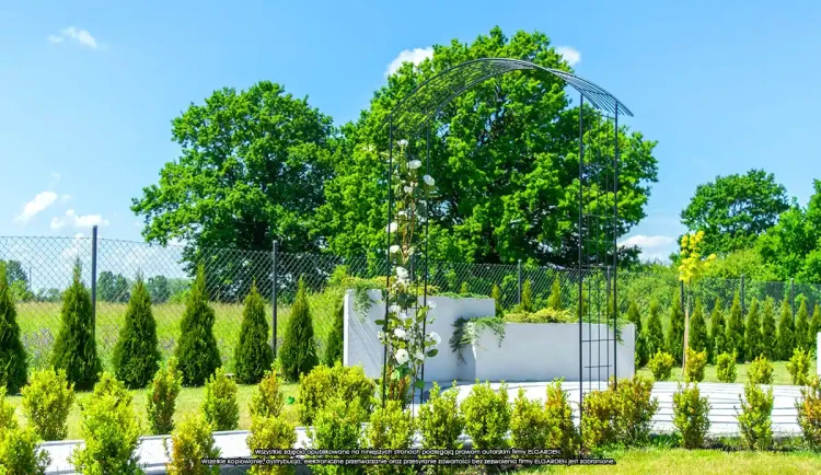 Pergola ogrodowa Excellent 275 cm