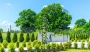 Pergola ogrodowa Excellent 275 cm