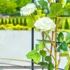 Pergola ogrodowa Excellent 275 cm