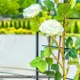 Pergola ogrodowa Excellent 275 cm