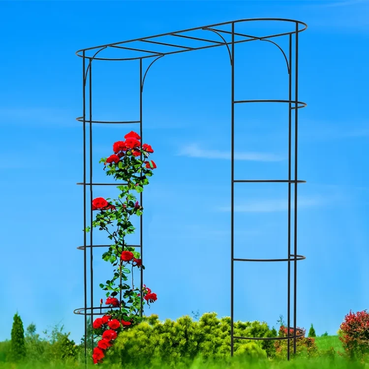 Pergola PRIMO 200 cm