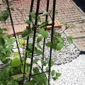 Pergola ogrodowa piramida