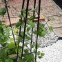 Pergola ogrodowa piramida