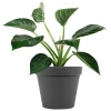 Doniczka Patio fi 26 cm fot. 5
