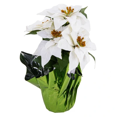 Biała gwiazda betlejemska w osłonce - 37 cm