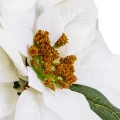 Studio Session-15817 kopia.webp