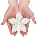 Biała gwiazda betlejemska 12 cm