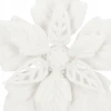 Biała gwiazda betlejemska 12 cm