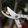 Sekator do Gałęzi 20 cm