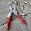 Sekator do Gałęzi 20 cm