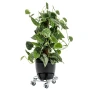 Studio Session-17391 kopia.webp