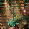 Pergola spiralna