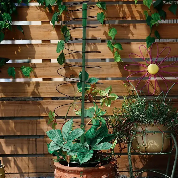 Pergola spiralna