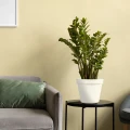 Doniczka Patio fi 26 cm - 7 L fot. 9