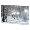 Obraz dekoracyjny z diodami LED 58x35