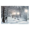 Obraz dekoracyjny z diodami LED 58x35