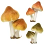 Grzyby leśne - Dekoracja choinkowa na klipsie 9 cm fot.7