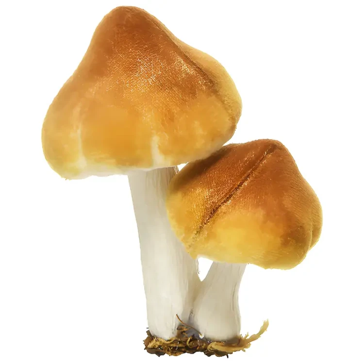 Grzyby leśne - Dekoracja choinkowa na klipsie 9 cm fot.3