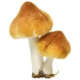 Grzyby leśne - Dekoracja choinkowa na klipsie 9 cm fot.3