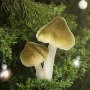 Grzyby leśne - Dekoracja choinkowa na klipsie 9 cm fot.5